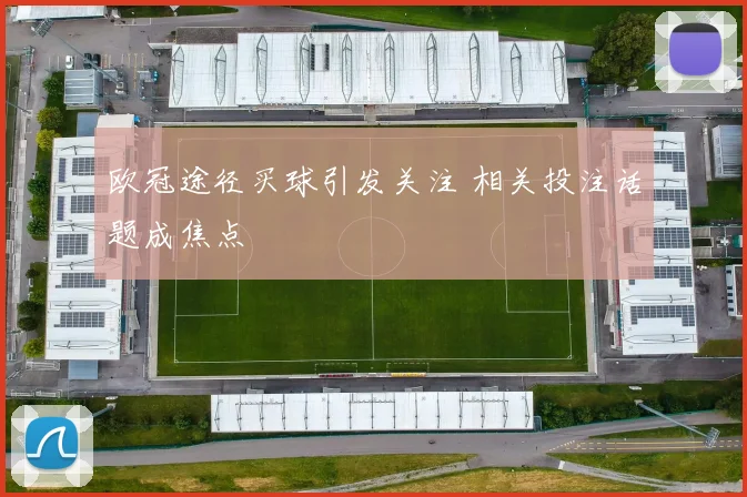 欧冠途径买球引发关注 相关投注话题成焦点